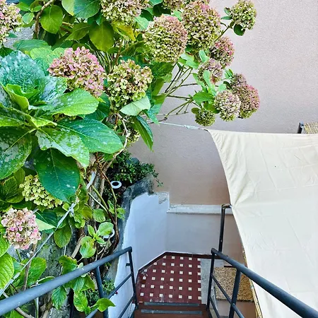 Apartmán Blubay Manarola